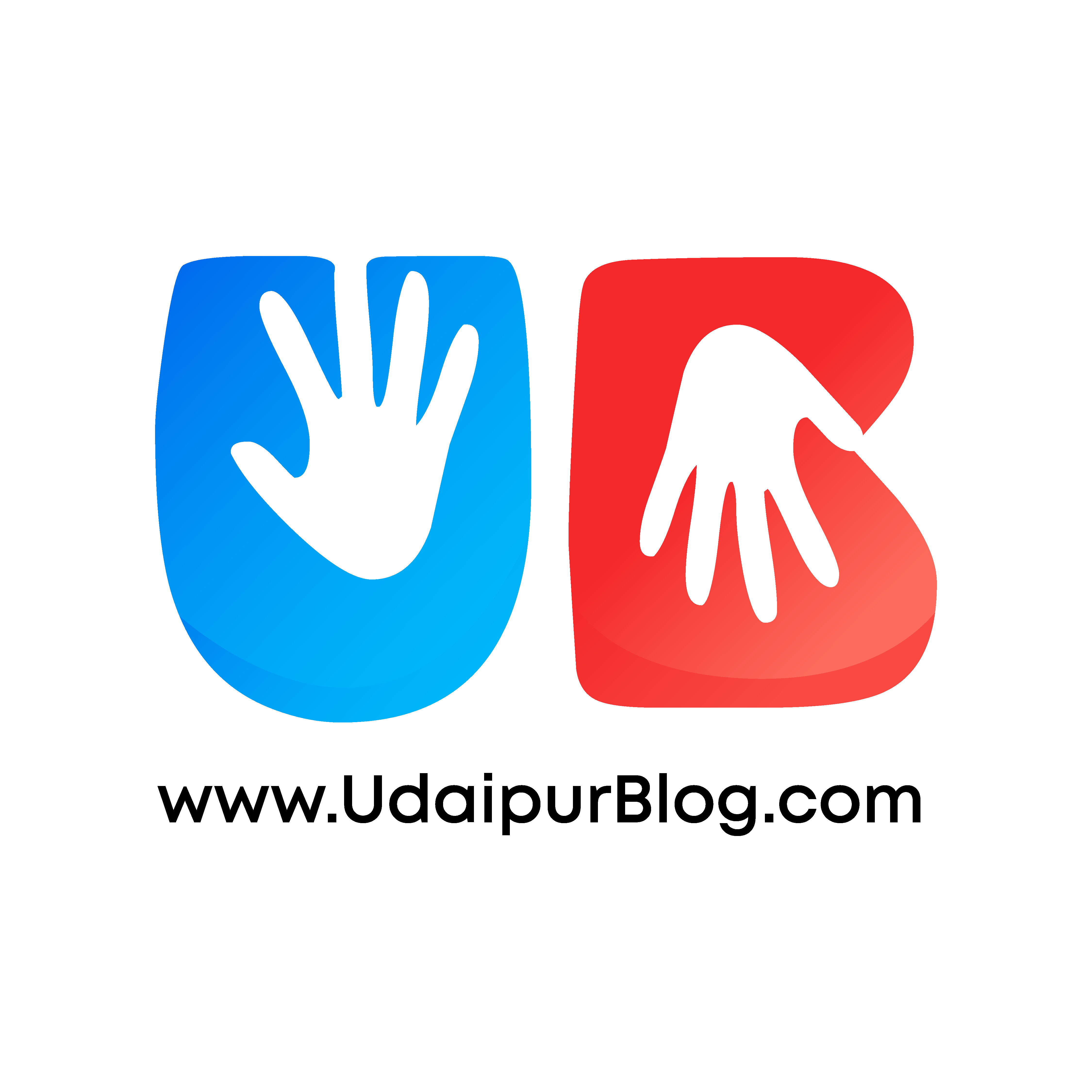 Media Partner